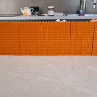 250 Mattoncini LEGO 1x2 muratura dark orange