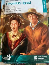 Libro promessi sposi scuola media