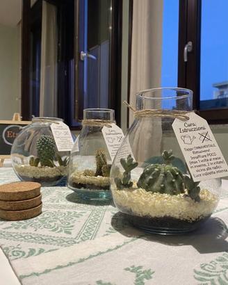 Terrario ornamentale con piante grasse 🌵🪴