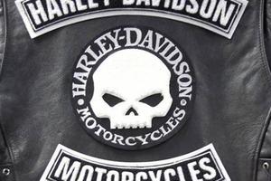 Tris Toppe Harley Davidson Termoadesive per Gilet 