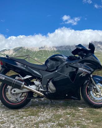 Honda cbr 1100 xx