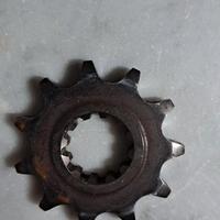 Pignone am6 11 denti