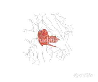 Terreno di 11460 m² a Reggello