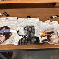 100 tshirt uomo