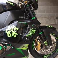 Kawasaki Zx10r ninja