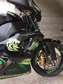 Kawasaki Zx10r ninja