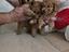 Immagine 1