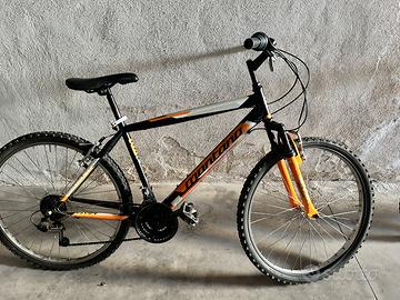 Mountain Bike Montana