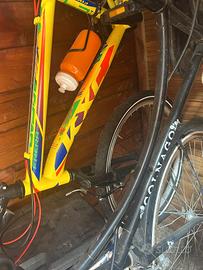 bicicletta 24