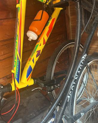 bicicletta 24