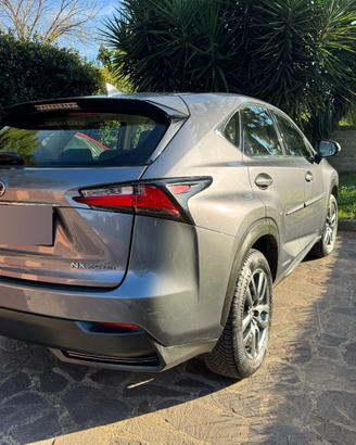 Lexus NX 300h Executive | Tagliandi | CarPlay
