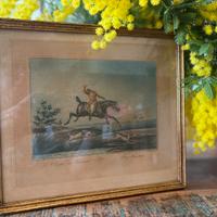 Gravura antica di caccia alla volpe. 1870/1880