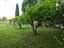 Immagine 6