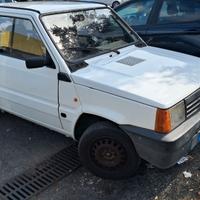 fiat panda young