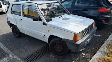 fiat panda young