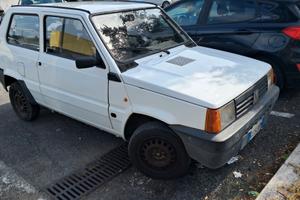 fiat panda young