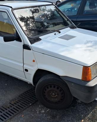 fiat panda young