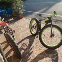Bicicletta
