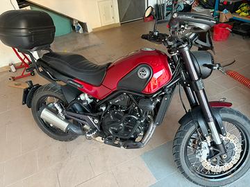 Benelli Leoncino 500 Teail