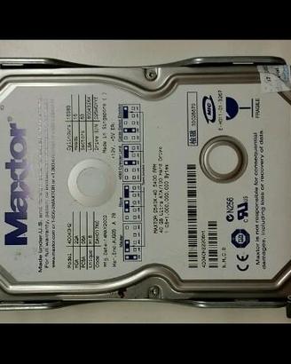 2 Hard Disk 40 Gbyte ATA