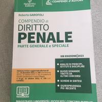 Esame Avvocato 2023. Diritto Penale