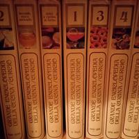 Collezione libri da cucina