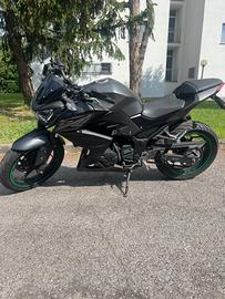 Kawasaki Z 300