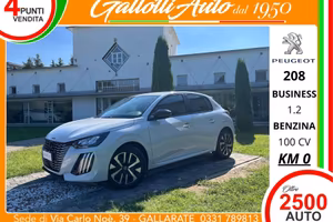 Peugeot 208 1.2 puretech Business s&s 100cv