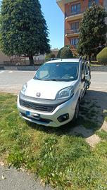 fiat qubo