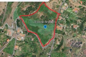 TERRENO 3ha EDIFICABILE MASCALI SANTA VENERA