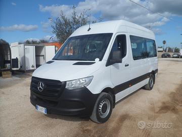 Mercedes-benz Sprinter 9 posti panorama