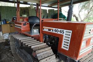 TRATTORE FIAT 60-65 Cingolato