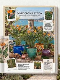 piante in vaso 