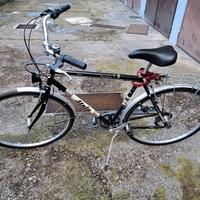 Atala Sportiva: La tua nuova compagna di avventure