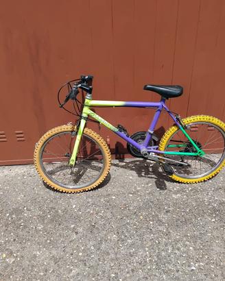 Bicicletta bambino