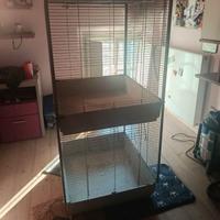 Gabbia Feret tower in buone condizioni