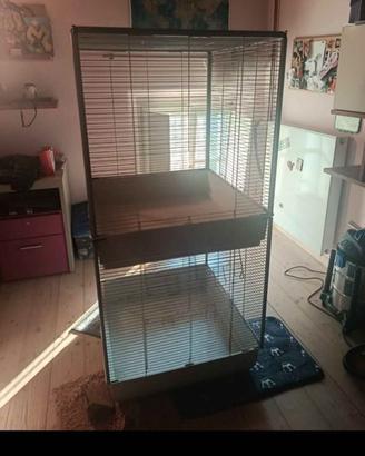 Gabbia Feret tower in buone condizioni