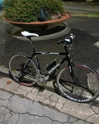 bottecchia altavelocitá