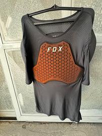 Pettorina fox