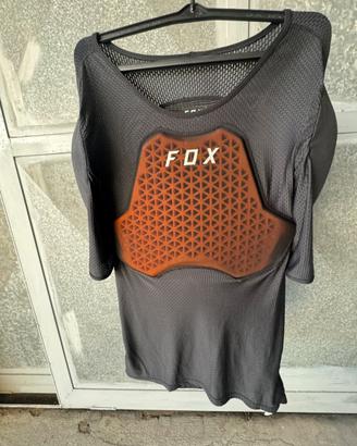 Pettorina fox