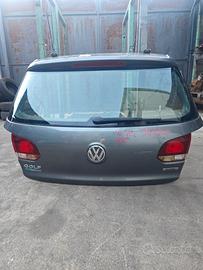 PORTELLO POSTERIORE VOLKSWAGEN GOLF 6 1.6 B 2009 C
