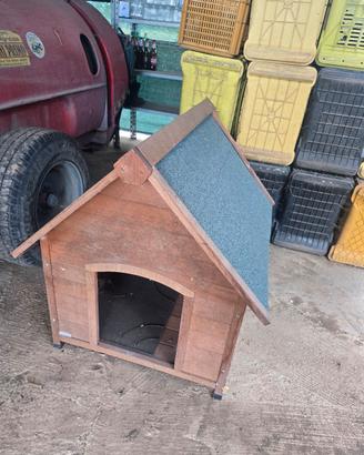 casetta per cane