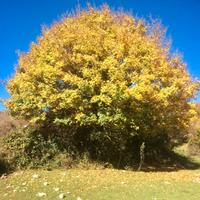 Terreno pregiato Reg. Edif. ind_cub.ra +49