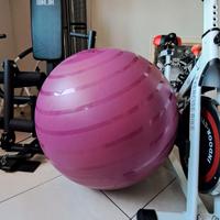 Pallone da  ginnastica