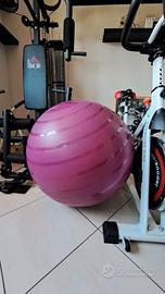 Pallone da  ginnastica