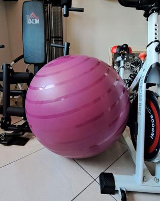 Pallone da  ginnastica