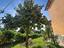 Immagine 21