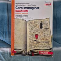 Caro Immaginar