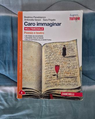 Caro Immaginar, Poesia e Teatro
