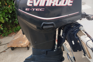 Motore Evinrude 40 sfalgiato a 60 238 ore